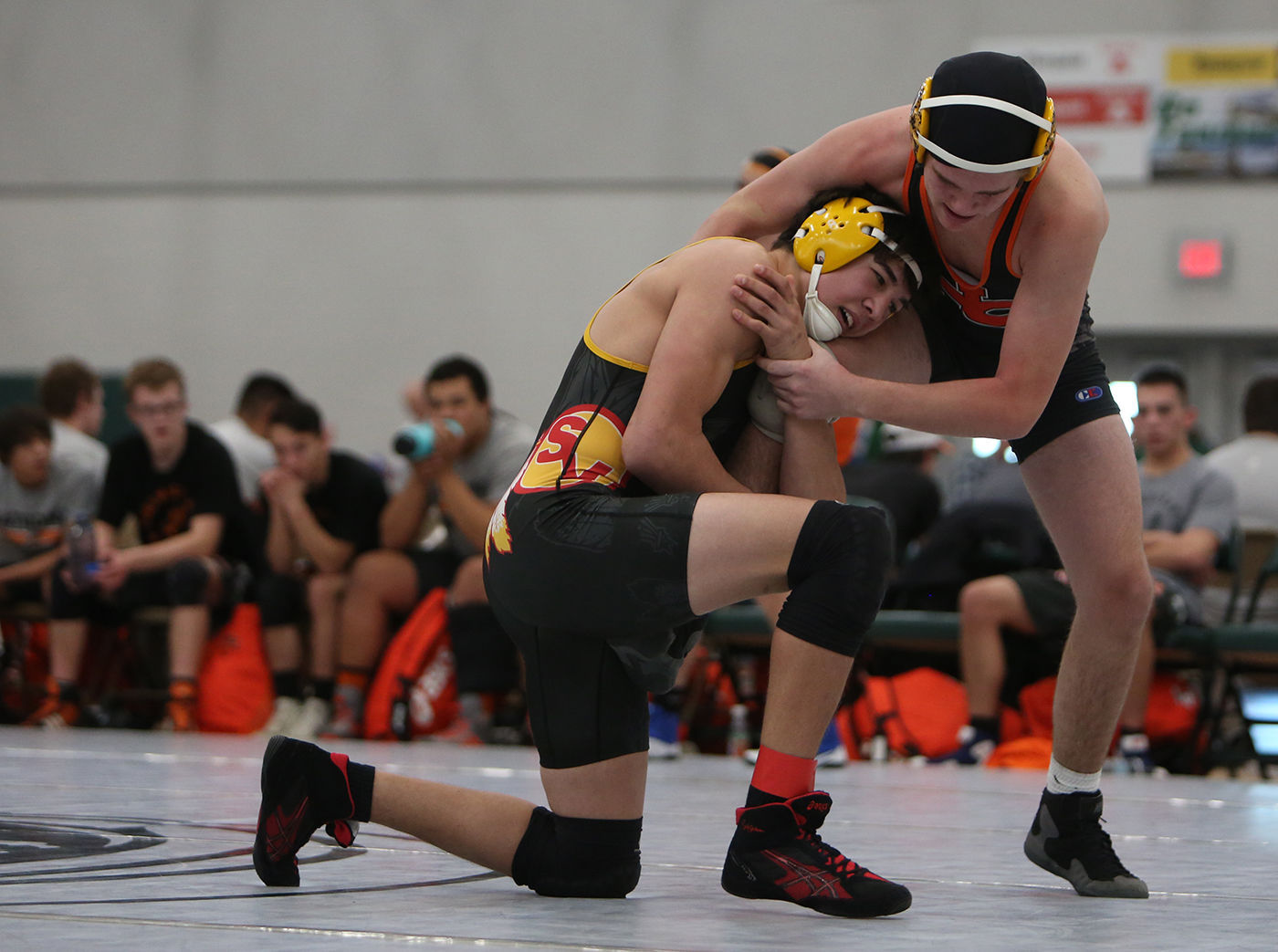 Wrestling